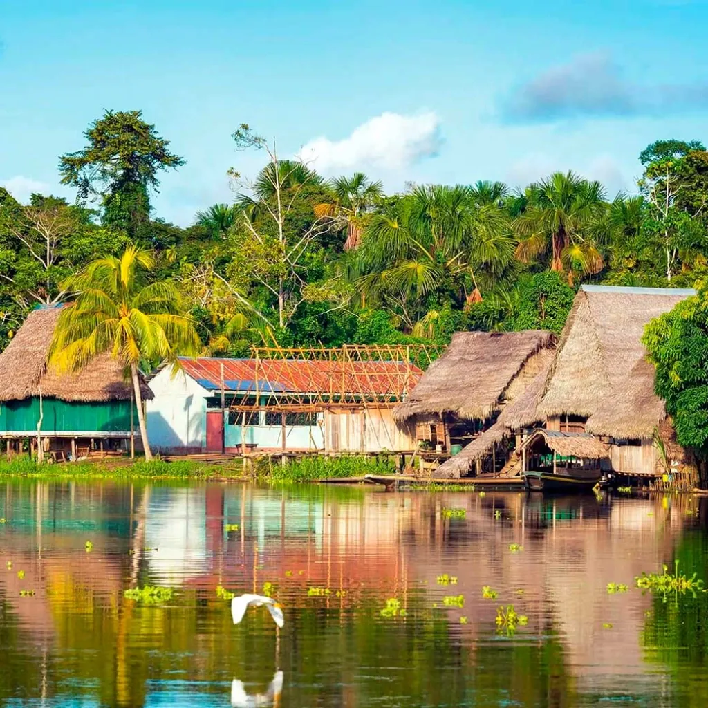 Amazonas · foto 2